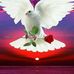 Tamara Rauch - Facebook