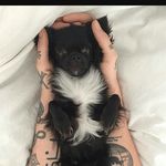 Tamara Reith - @tami_1301 - Instagram