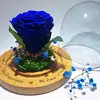 Tamara Rendón - @tamara.rendn - TikTok