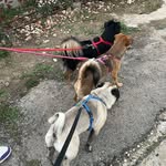 Tamara Renzi Francesco Pasqualini - @pasqualinitamara - Instagram
