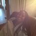 Tamara Rickman - Facebook