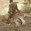 Tamara Rigby - @tamara.rigby8 - TikTok