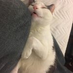 tamararockwell - @tamriley7 - Instagram