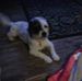 Tammy Rolfe - Facebook