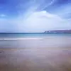Tamara Roller436 - @rollertamara - TikTok