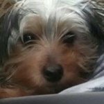 Tamara Rosado - @trosado64 - Instagram
