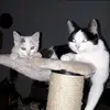 Tamara Rother - @tamara.rother5 - TikTok