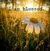Tammy Beall Rothe - Facebook