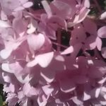 tamara rowland - @pat9.585 - Instagram