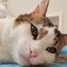 Tamara Roy - Facebook