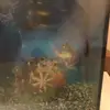 Tik Toker - @...tamaragraceandruby..0 - TikTok