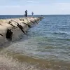 Tamara Ryan - @tamara.ryan3 - TikTok