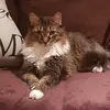 tamararyan43 - @tamararyan43 - TikTok