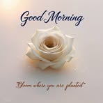 Tamara Sam - Facebook
