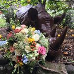 Tamara Sharp - @blush_magnolia_floral_designs - Instagram