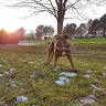 Tamara Siebert - @tamarasiebert0 - TikTok