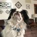 Tamara Starnes - Facebook