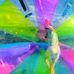 Tamara Steele - Facebook
