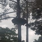 Tamara Steele - @tamara.steele.378537 - Instagram
