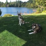 Tamara Stocks - @crosby28 - Instagram