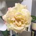 Tammy Streeter McDonald - Facebook