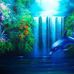 Tamara Swan - Facebook