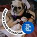Tammy Bornheimer Tressler - Facebook
