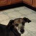 Tammy Tressler - Facebook