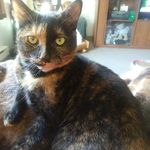Tamara Tripp - @tripp3884 - Instagram