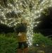 Tammy Trudeau Ferrier - Facebook