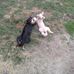 Tammy Carter Turnbow - Facebook