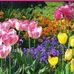 Tamara D. Veit - Facebook