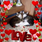 Tamara Virginia Marin - Facebook