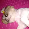Tamara Virginia Virginia - @tamaravirginiavir - TikTok