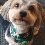 Tamara Walker - @gripcanada - Instagram