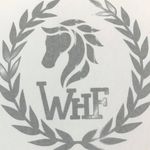 Tamara Walker - @walkerhorsefarms - Instagram