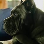 Tamara Warner - @warnertamara - Instagram