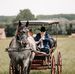 Tamara Wayne Kowalchuk - Facebook