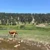 tamara_ - @tamara_weiss22 - TikTok