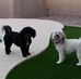 Tammy Weldon - Facebook