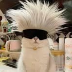 Tamara Westin - Facebook