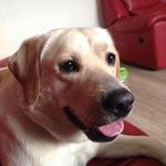 Tammy Whiting - @tamara_booknut - Instagram