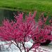 Tammy Whitted Blake - Facebook