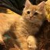 Tammy Widener - Facebook