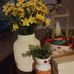 Tammy Widener - Facebook