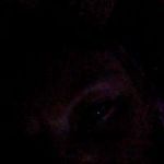 Tamara Willard - @tamara.willard.71 - Instagram