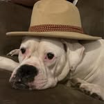 Tamara Willard Mac - @aunt_tt_35 - Instagram