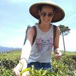 Tamara Willems - @tamara.willems.88 - Instagram