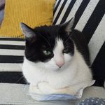 Tamara Willems - @tamara.willems.148 - Instagram