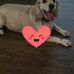 Tamara Wingate - Facebook